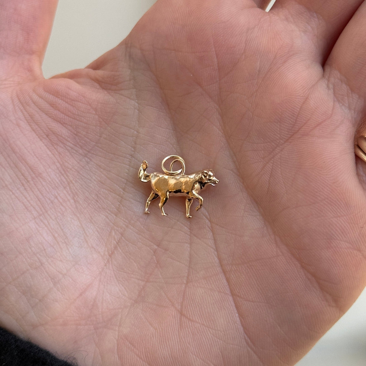 14k solid gold Custom Dog Charm as a custom hand-carved dog portrait