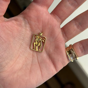 Vintage Cutout Aquarius Rectangle Charm