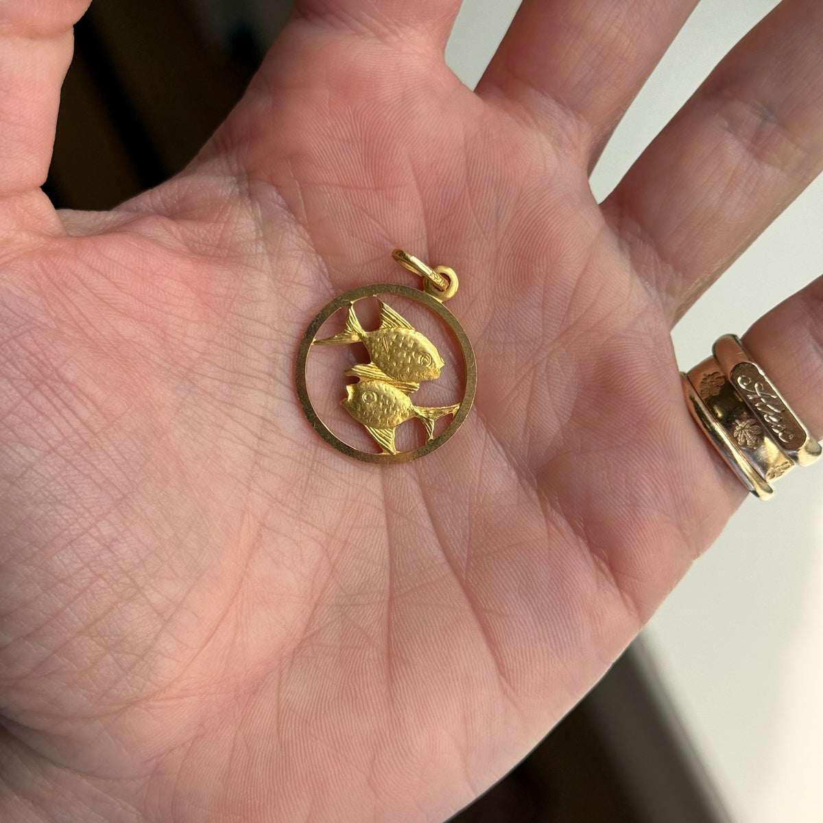 Vintage Pisces Cutout Charm