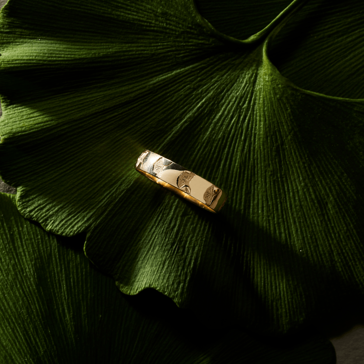14k solid gold Ginkgo Leaf Ring with ginkgo leaf imprints around the band