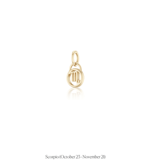 Zodiac Charms