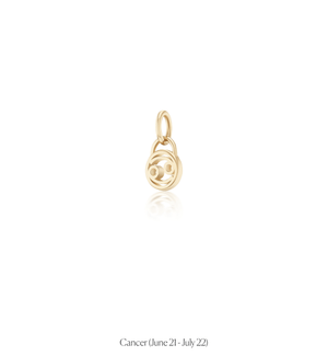 Zodiac Charms