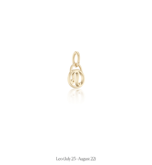 Zodiac Charms