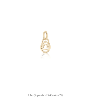 Zodiac Charms