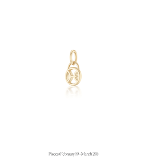 Zodiac Charms