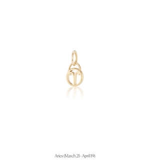 Zodiac Charms