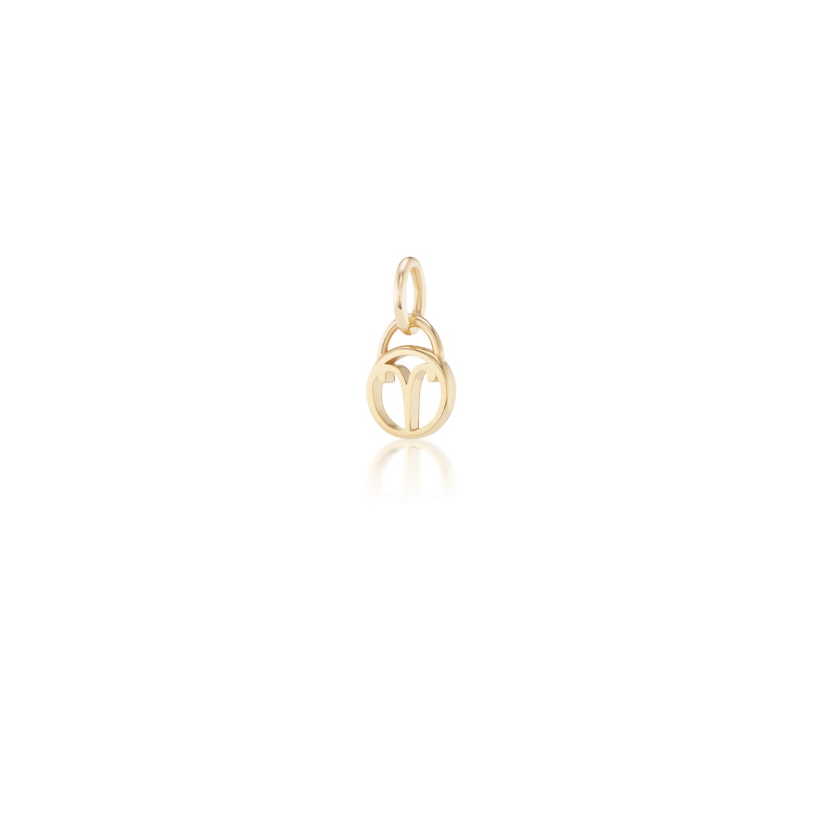 Zodiac Charms
