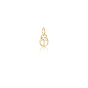 Zodiac Charms
