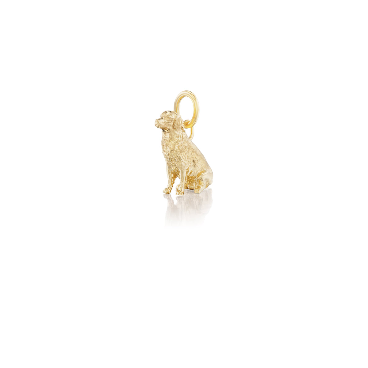 Golden Retriever Dog Charm — Archive Sale 2026