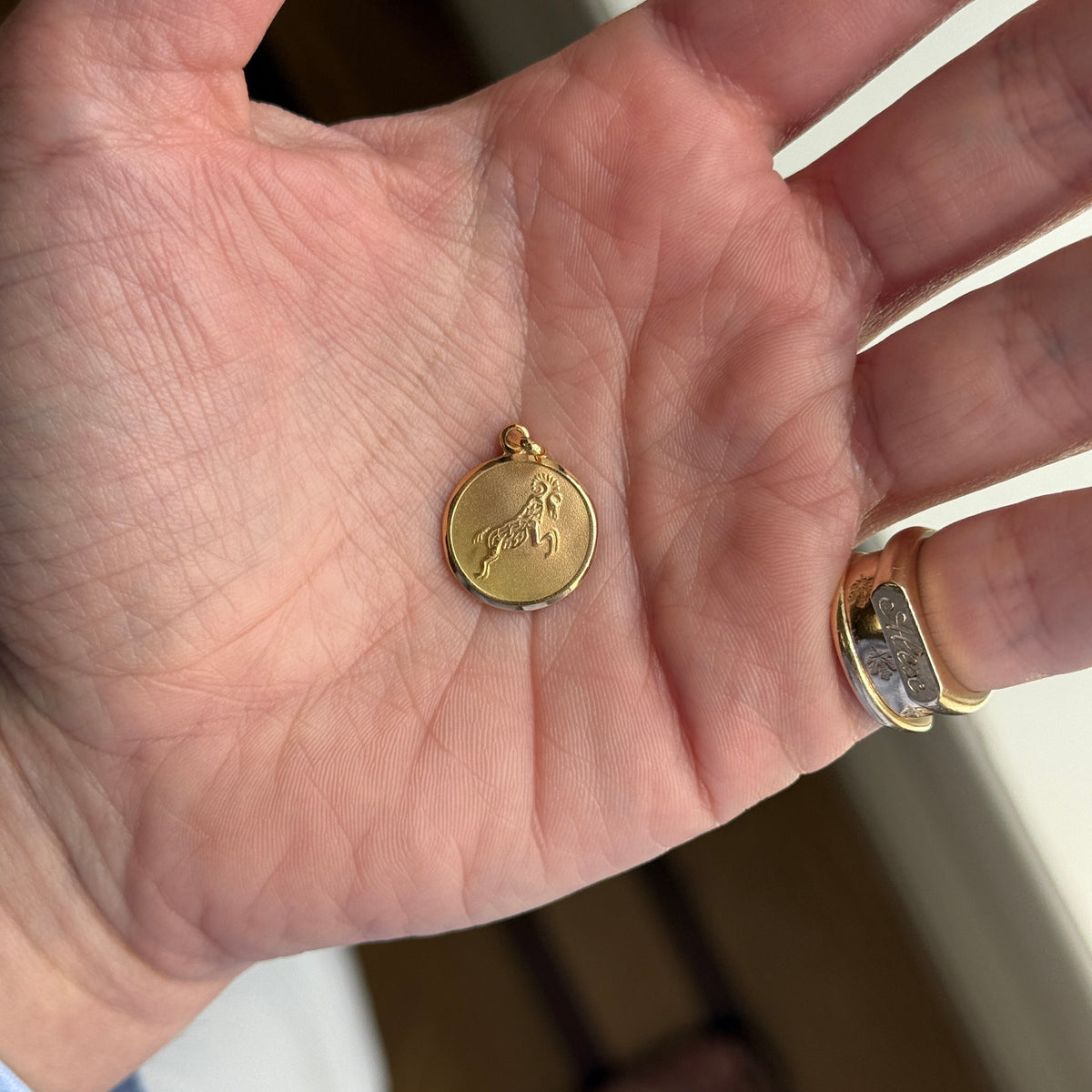 Vintage Double Sided Aries Ram Charm