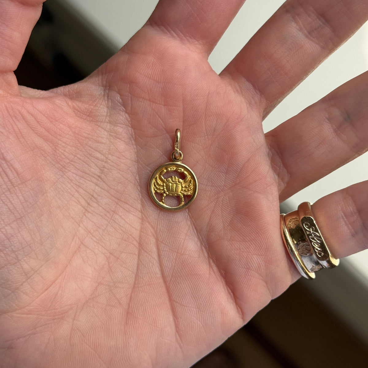 Vintage Cancer Cutout Charm