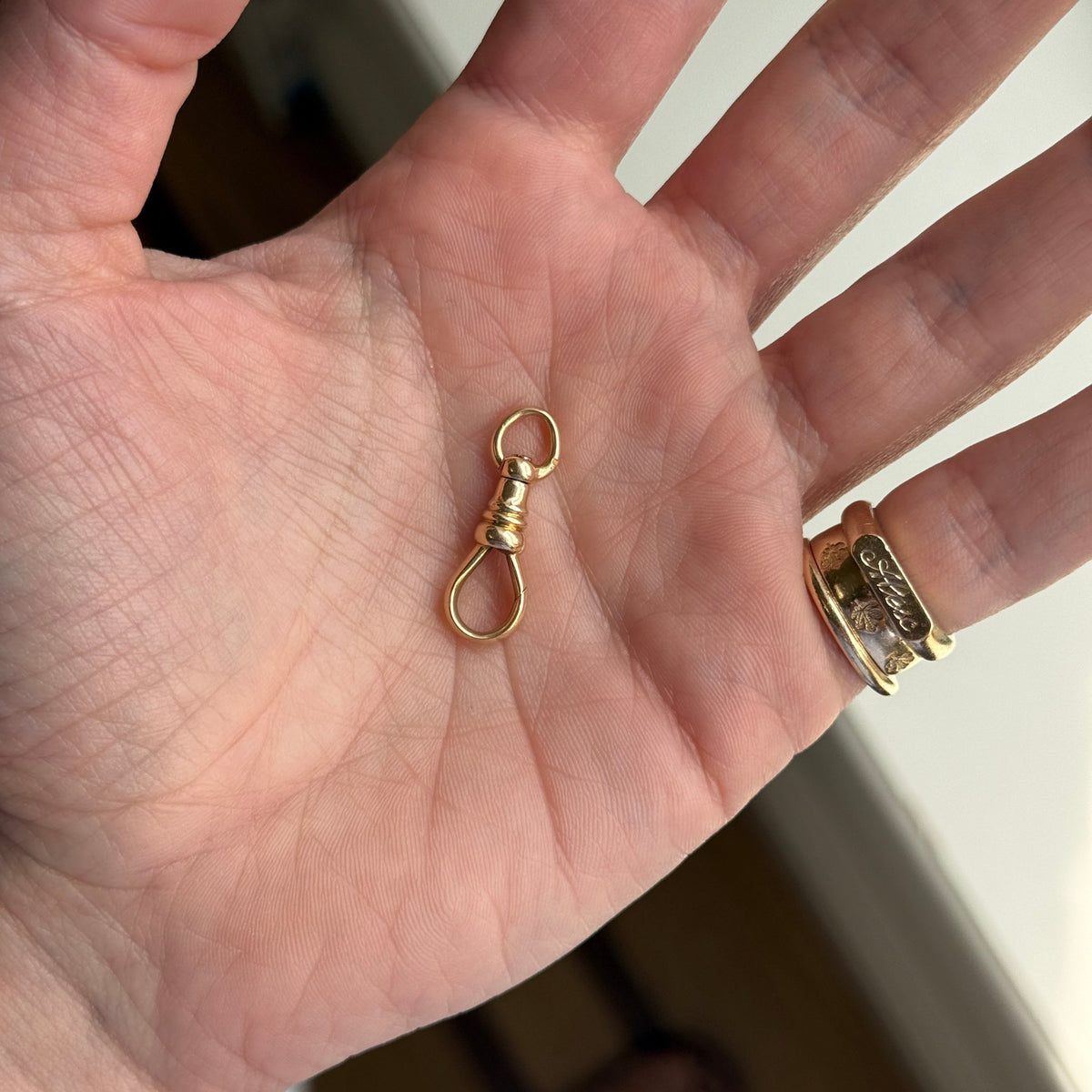 Vintage Swivel Dog Clip