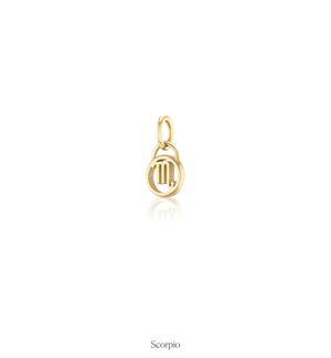 Zodiac Charms
