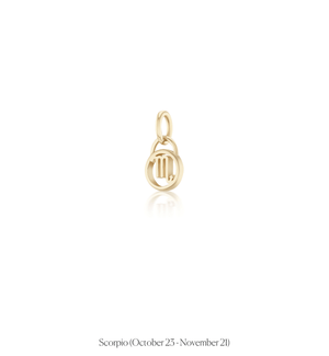 Zodiac Charms