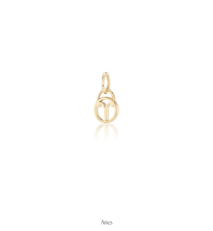 Zodiac Charms