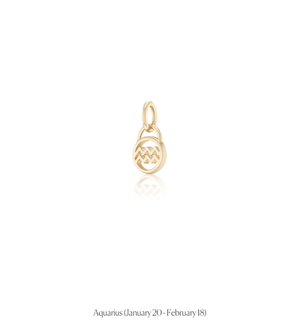 Zodiac Charms