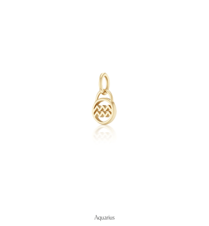 Zodiac Charms