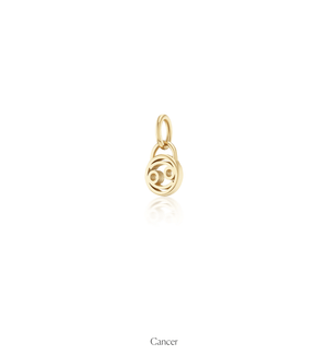 Zodiac Charms