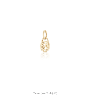 Zodiac Charms