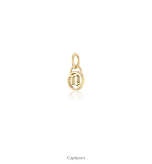 Zodiac Charms