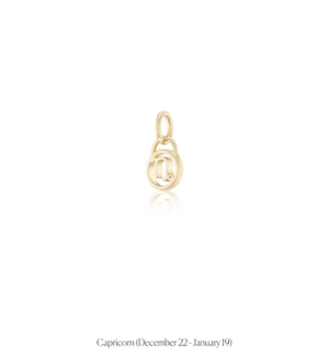 Zodiac Charms
