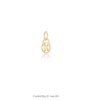 Zodiac Charms