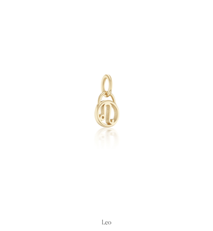 Zodiac Charms