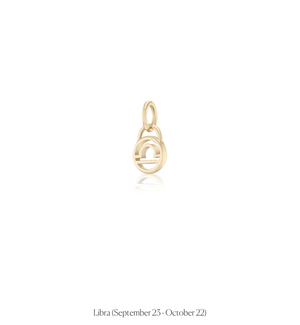 Zodiac Charms