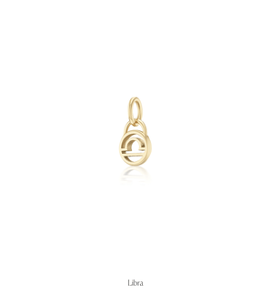 Zodiac Charms