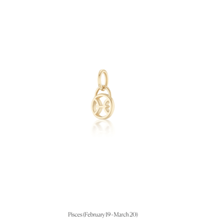 Zodiac Charms