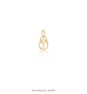 Zodiac Charms