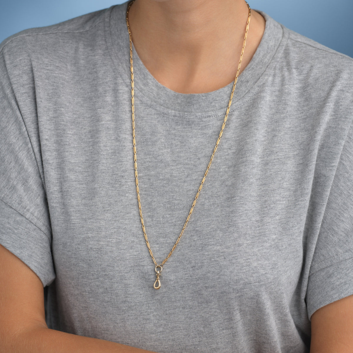 Vintage Chain w/ Twist Lock Dog Clip