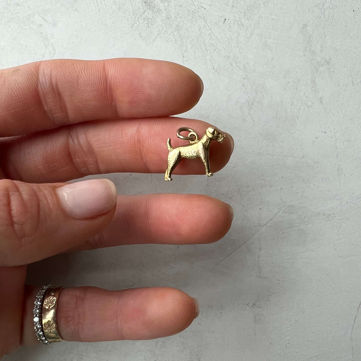 Vintage Terrier Dog Charm for Women