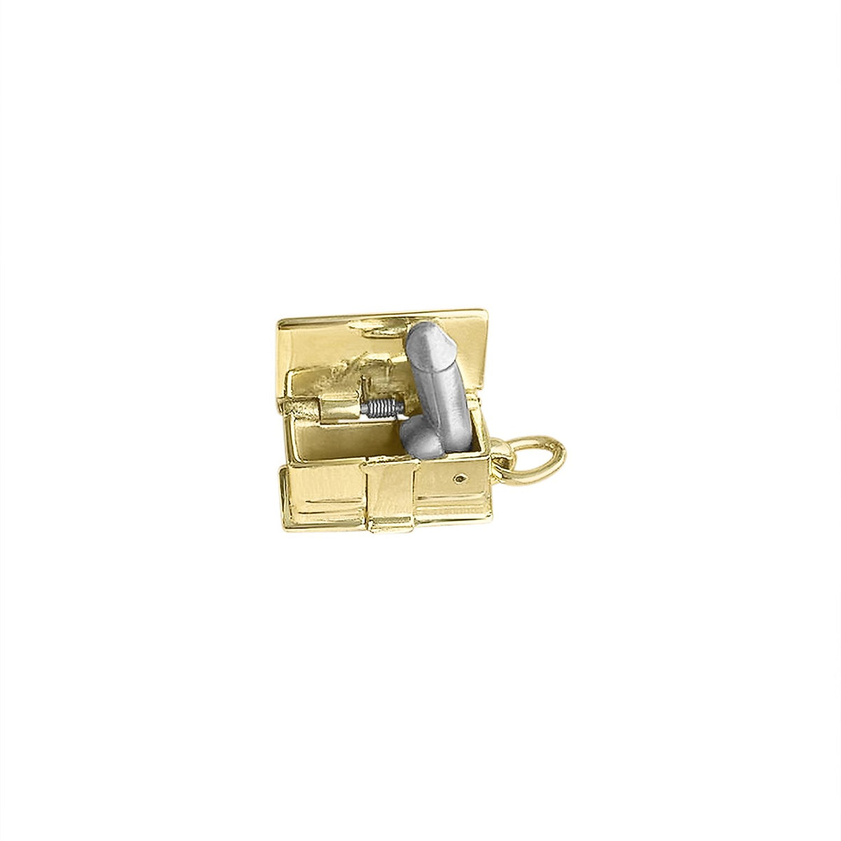 Vintage Funny Dick in a Box Charm 