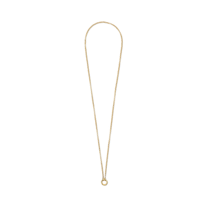 14k gold charm collector rolo chain necklace